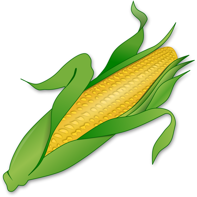 Corn - Cob Clip Art (800x790), Png Download