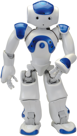 Nao The Robot - Nao Roboter (480x476), Png Download