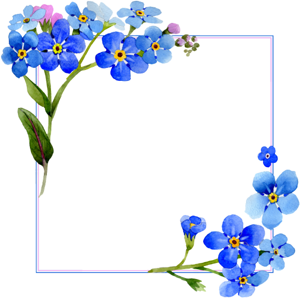 Flowers Watercolor Cover Vector Frame, Flower Watercolor - Marco De Flores Celestes (640x640), Png Download