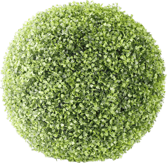 Bush Ball - Bush Transparent (550x537), Png Download