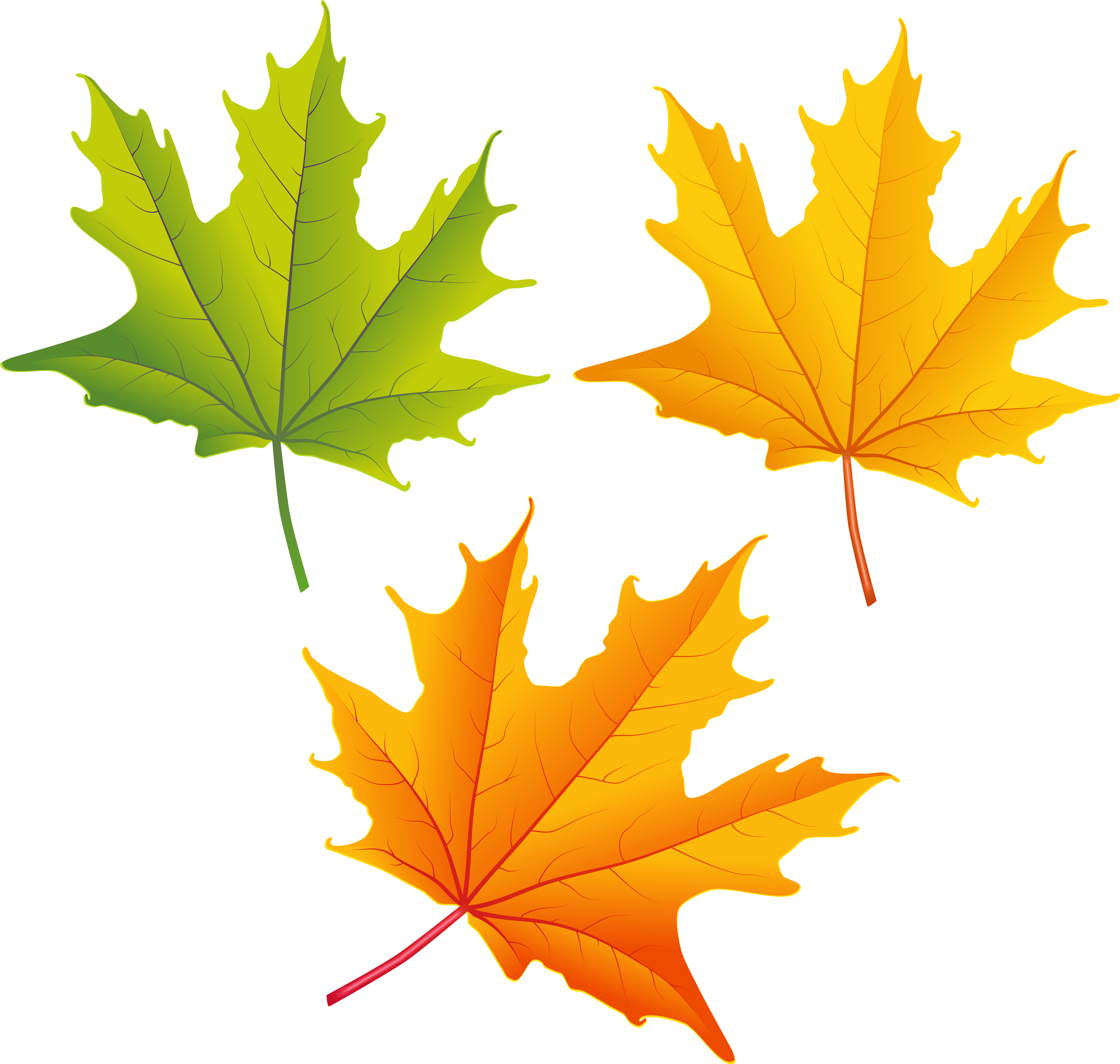 Autumn Leaf Clipart Png (6312x5975), Png Download