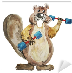 Beaver With Dumbbells - Castor Ilustração (400x400), Png Download