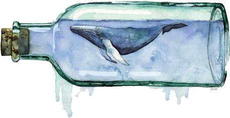 Whale Bottle Balina Şişe Sea Water Cute Kawaii Ftestick - Watercolor Whale Painting (540x432), Png Download