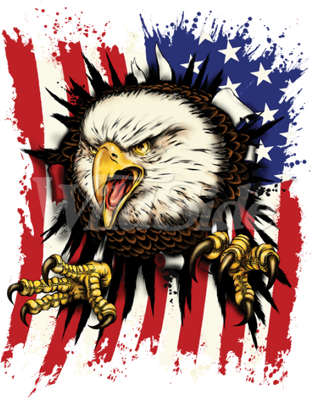 American Flag Eagle Png Clipart Stock - Adler, Die Rippen Durch Die Amerikanische Flagge - (600x600), Png Download