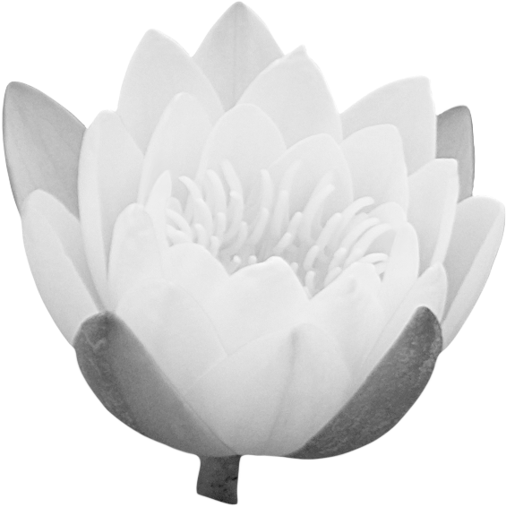 Blue Lotus Png - Portable Network Graphics (706x688), Png Download