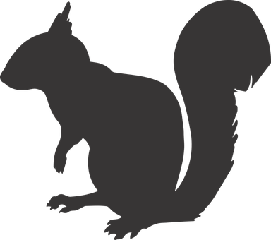 Squirrel Silhouette Animal Mammal Rodent N - Squirrel Silhouette Png (384x340), Png Download
