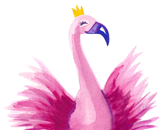 Flamingo Ballerina - Ballerina Flamingo (800x450), Png Download