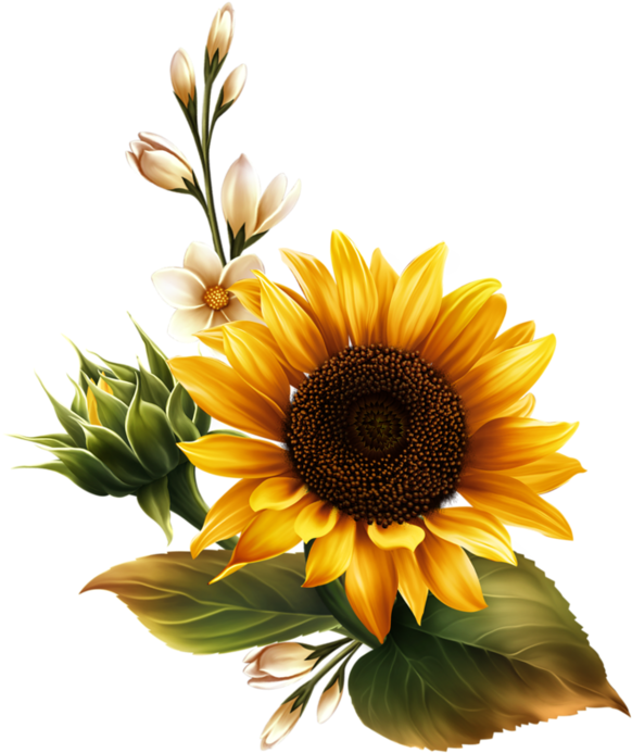 Sunflower Flag Clipart (600x707), Png Download