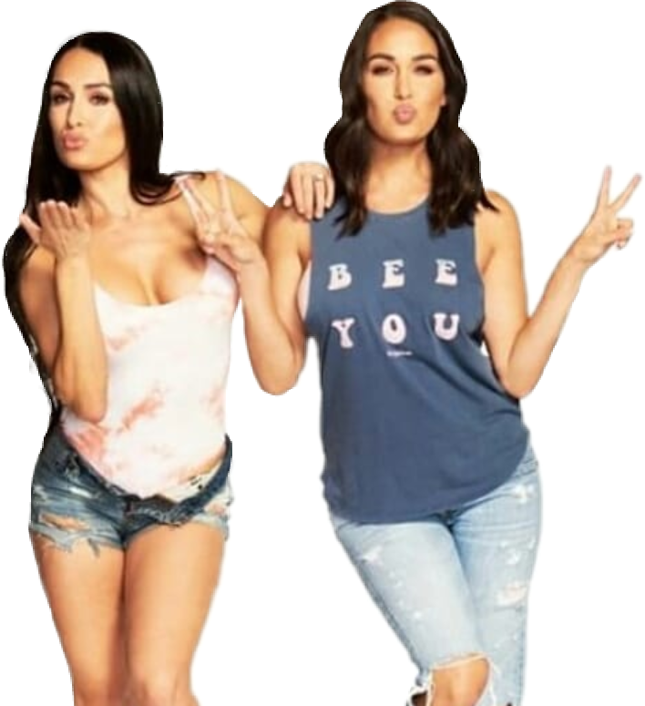 Nikkibella Briebella Birdiebee Bellatwins Bellaarmy - Brie Bella (708x775), Png Download