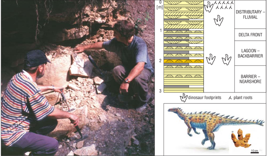 Gliniany Las Site This Humble, Small Quarry Exposing - Tyrannosaurus (850x497), Png Download