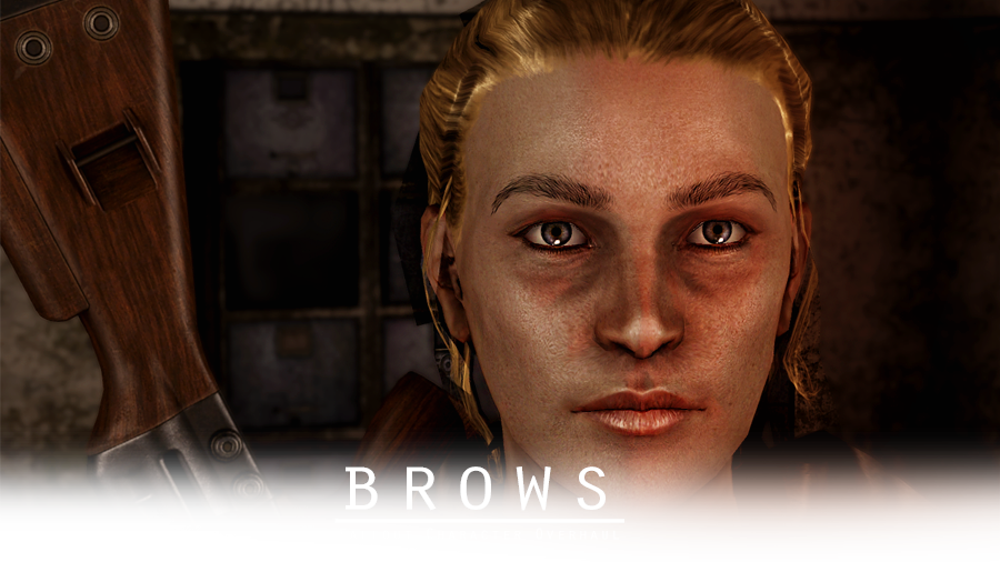 Both Straight Donations And Premium Membership Donations - Fallout New Vegas Eyebrows (900x506), Png Download
