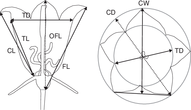 Drawing Arrows Abstract - Drawing (660x382), Png Download