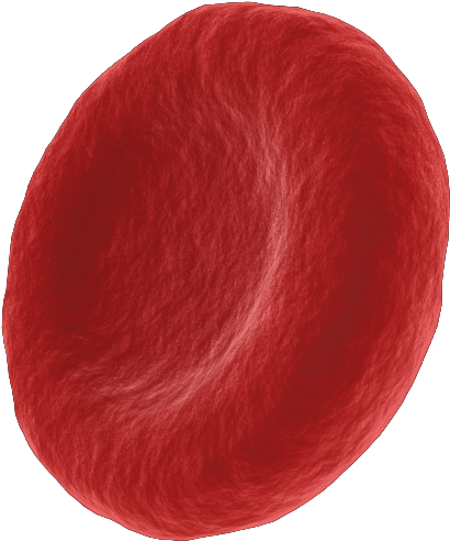 You Can Download The Single Red Cell Footage Here If - Red Hair (576x576), Png Download