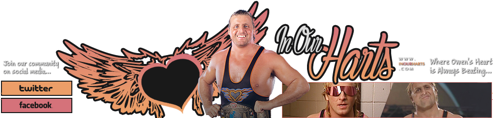 We've Created The Ultimate Sanctuary For Owen Hart - .com (1001x408), Png Download