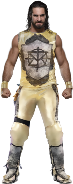 Download Wwe Money In The Bank Clipart Seth Rollins - Seth Rollins Wrestlemania 33 (260x637), Png Download