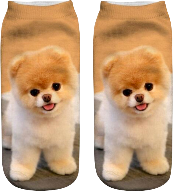 Dogsocks (712x688), Png Download