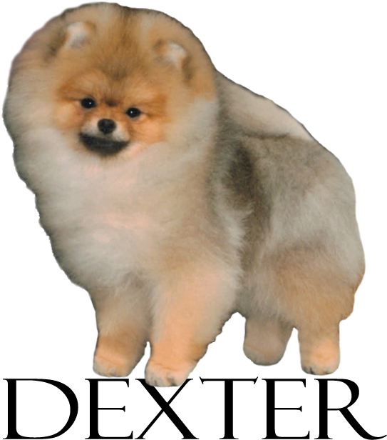 Menu - Failing Forward (900x650), Png Download