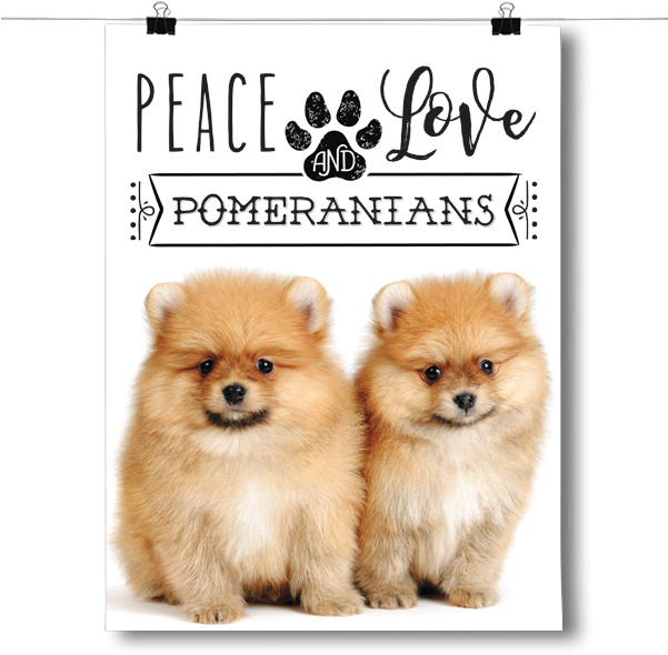 Peace Love And Pomeranians - Inspired Posterspeace Love And Pomeranians - Real Life (600x600), Png Download