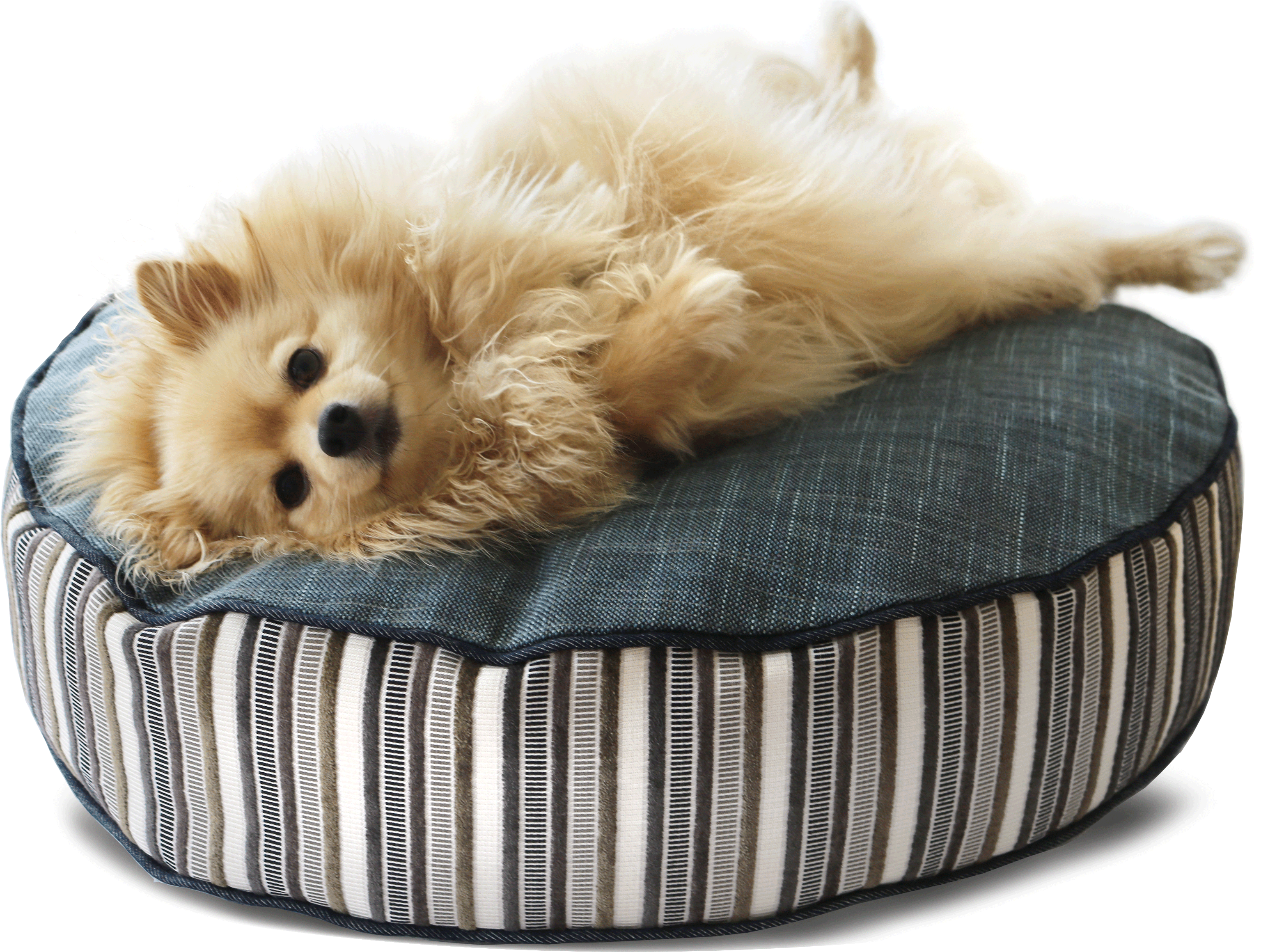 Beautiful Dog Bed Medium Luxury Stripe Teal - Bed (3379x2344), Png Download