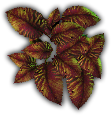 24 Mar 2009 - Artificial Flower (363x378), Png Download