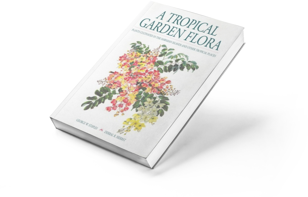 A Tropical Garden Flora - Tropical Garden Flora: Plants Cultivated (1060x795), Png Download
