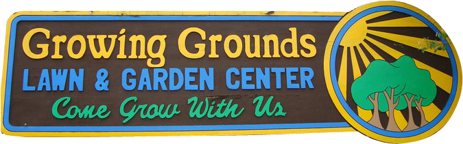 Tropical Plants - Portable Network Graphics (950x240), Png Download