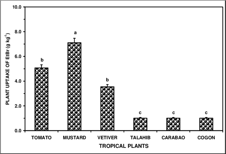 Average Uptake Of Etbr By The Different Tropical Plants - Solar Reverse Current Protection Mc4 Diode Connectors (850x535), Png Download