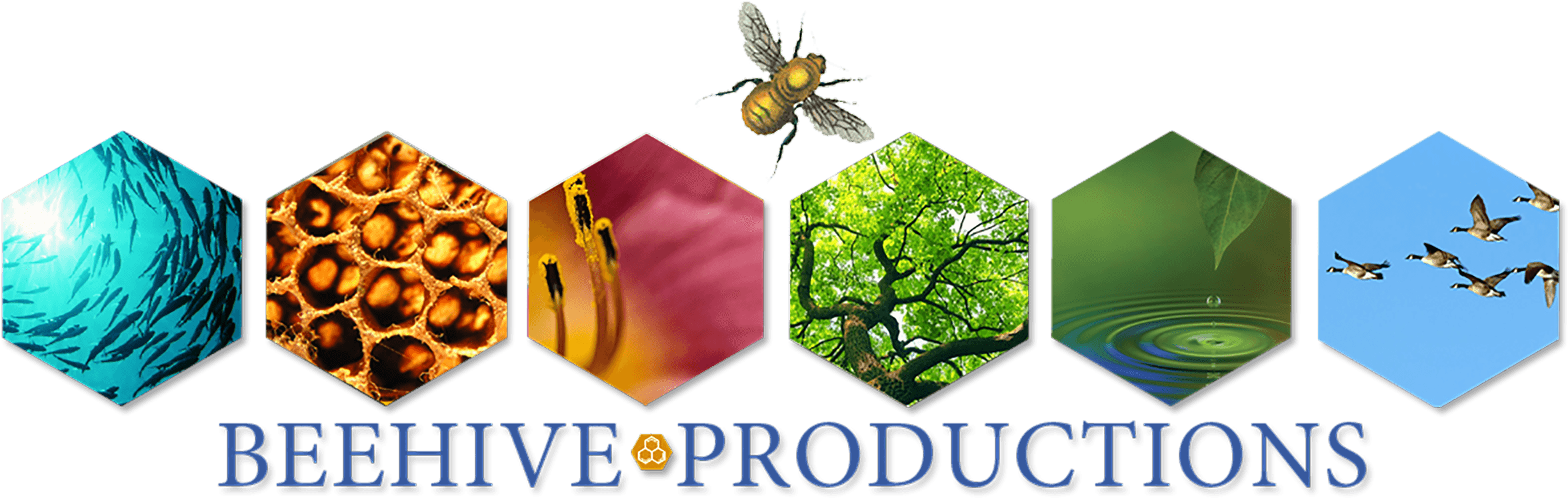 What Is Beehive - Beehive (2400x800), Png Download