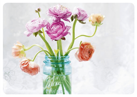 Persian Buttercup (450x450), Png Download