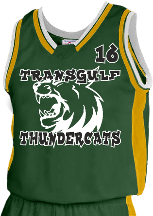 Transgulf Thundercats 16 Joenel - St Peter Basketball Jersey (400x450), Png Download