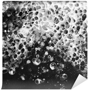 Bubbles Watercolor Black White Froth Wall Mural • Pixers® - Watercolor Painting (400x400), Png Download