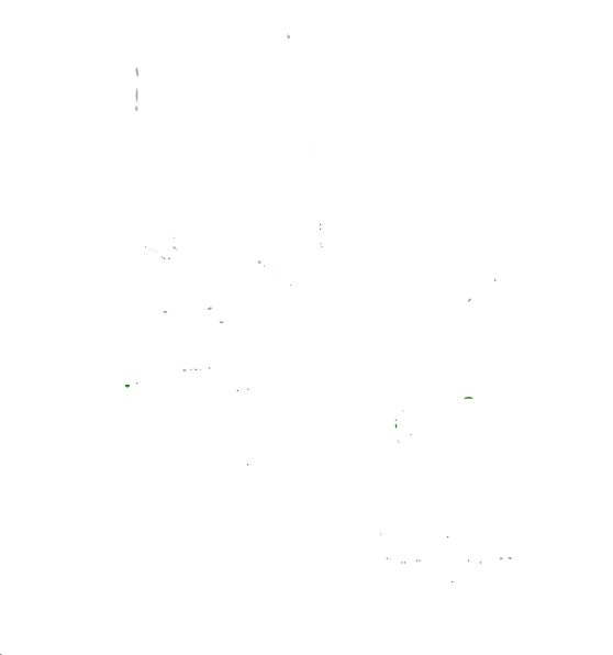 White Olive Branch Png (558x596), Png Download