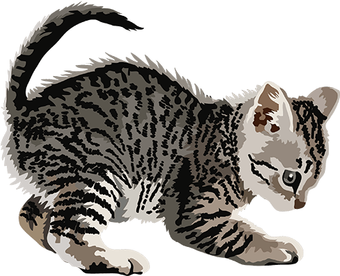 Cat Art, Stickers Messages Sticker-2 - Cat (618x618), Png Download