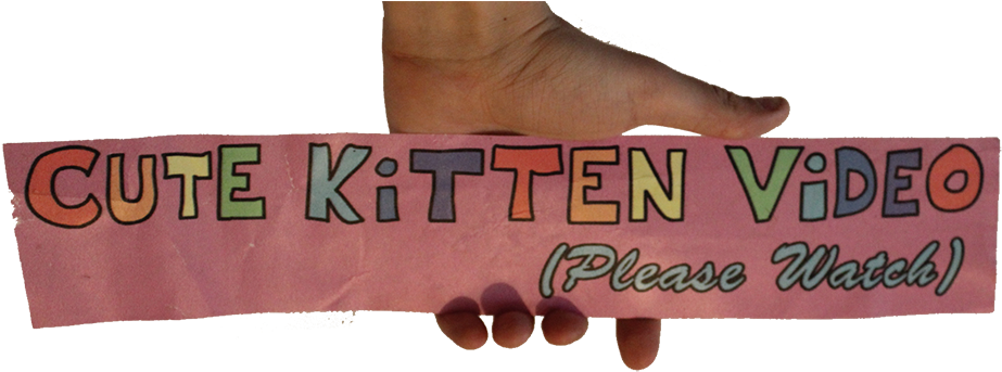 Kitten (930x410), Png Download