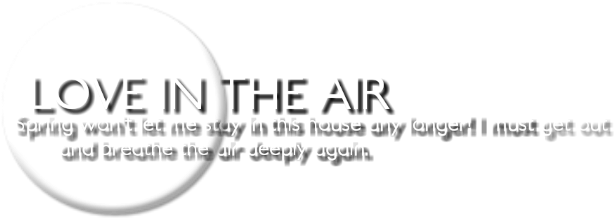 Png Texts - Circle (1024x768), Png Download