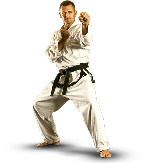 Adult Martial Arts - Martial Arts (462x550), Png Download