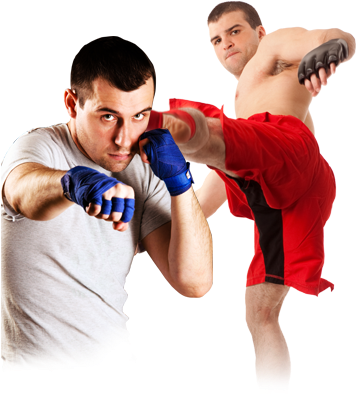 Mixed Martial Arts Png High-quality Image - Mixed Martial Art Png (421x405), Png Download