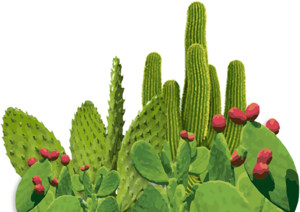 Servicios Publicidad Kaktus - Advertising (1024x488), Png Download