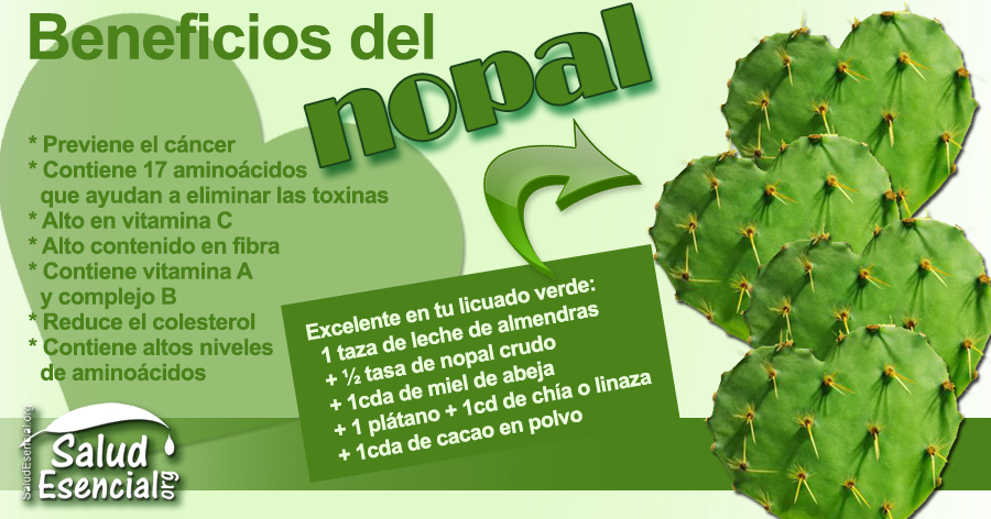 Carolina Rocha Menocal Salio Rumbo A Tlalnepantla Morelos - Planta De Tuna Para Que Sirve (900x472), Png Download