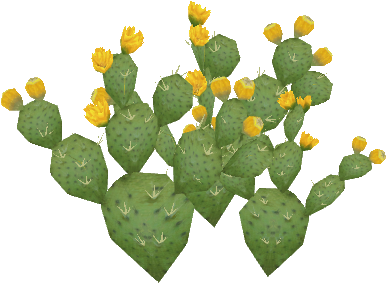 Beavertail4 - Eastern Prickly Pear (480x480), Png Download
