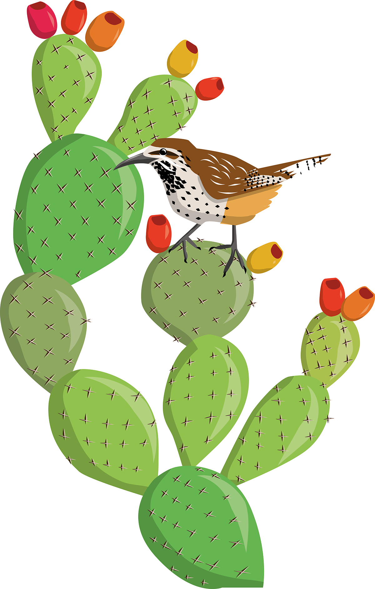 Desert Prickly Pear (1200x1882), Png Download