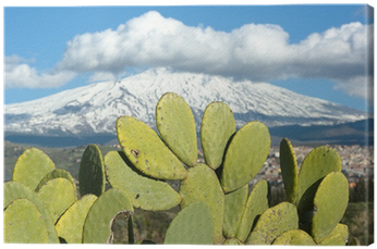 Eastern Prickly Pear (400x400), Png Download