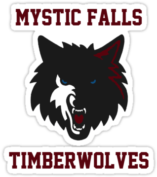 The Vampire Diaries, Elena Gilbert, And Stefan Salvatore - Mystic Falls Timberwolves Vampire Diaries (375x360), Png Download