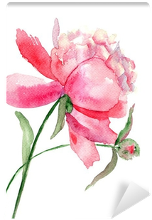 Beautiful Peony Flower, Watercolor Painting Wall Mural - Watercolor Flower Drawing (400x400), Png Download