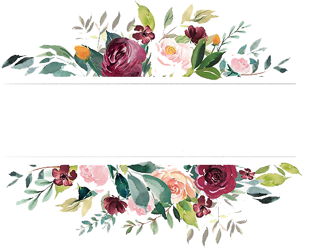 Free Peony Flowers Png - Peony Png (684x533), Png Download
