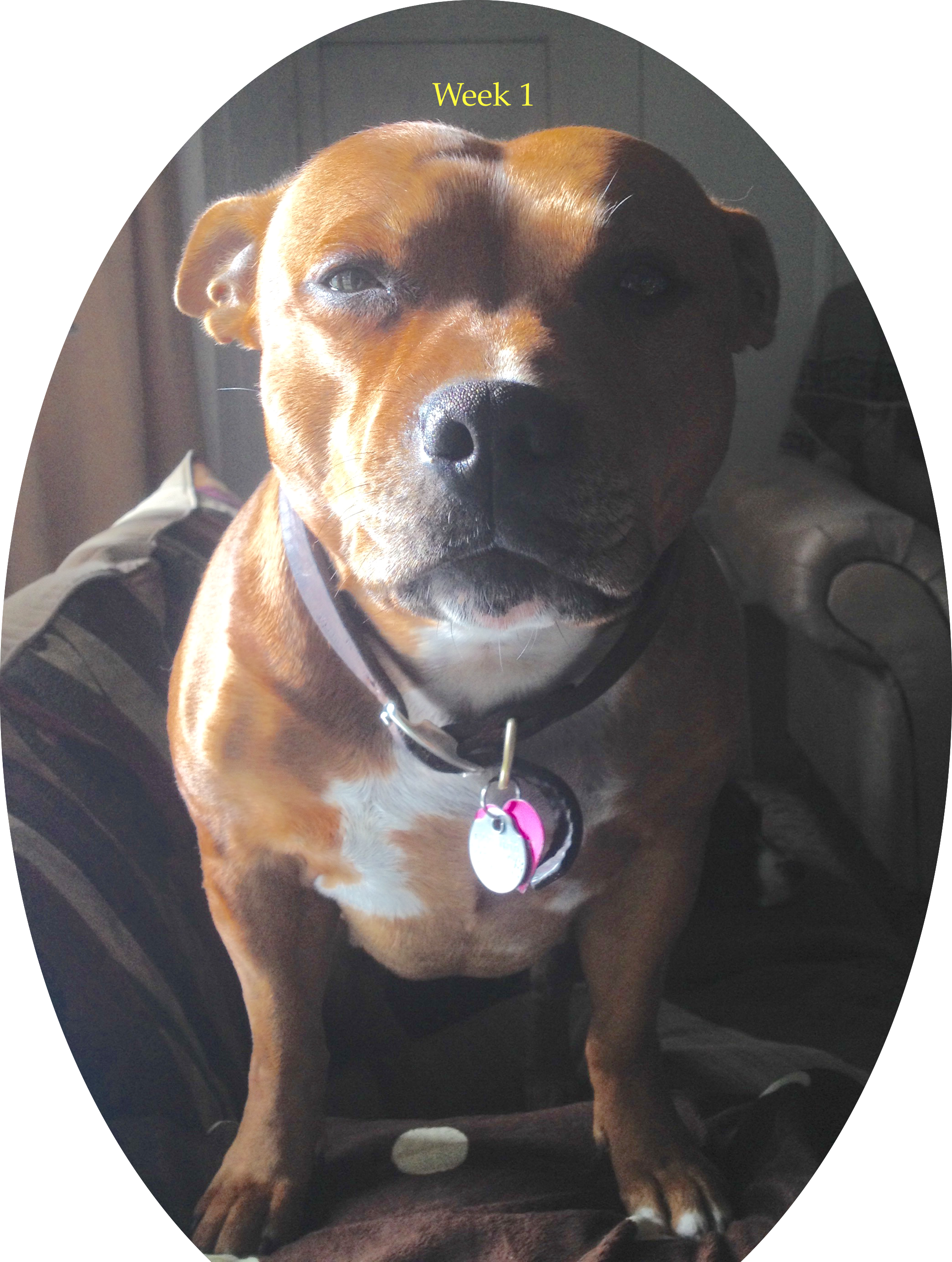 Elena 1 Week - Mcdonalds (2091x2771), Png Download