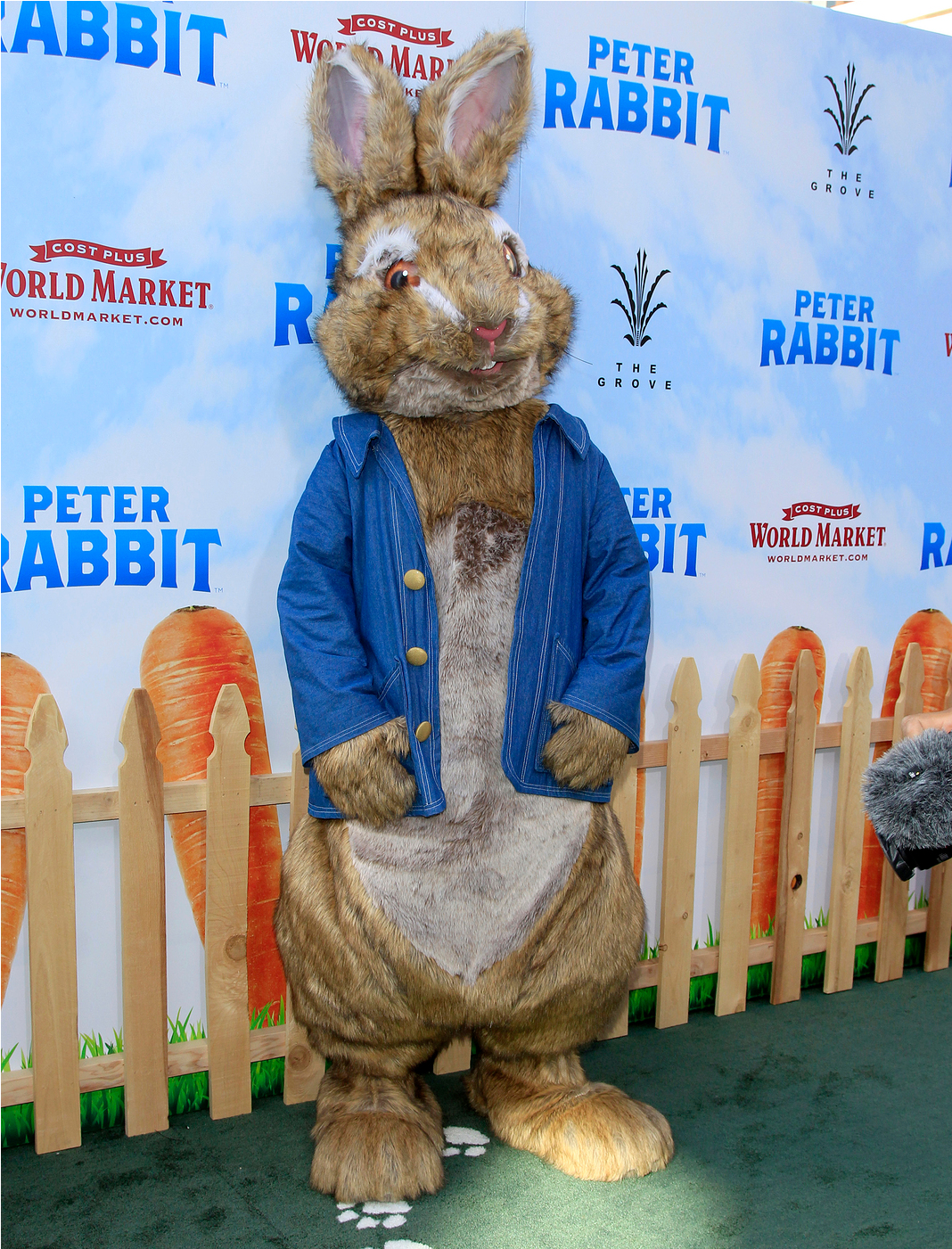 Peter Rabbit Loses His Sh*t Yet Again - Cost Plus World Market (1800x1400), Png Download