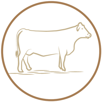 Ground Beef, Per Pound - Culture (498x443), Png Download