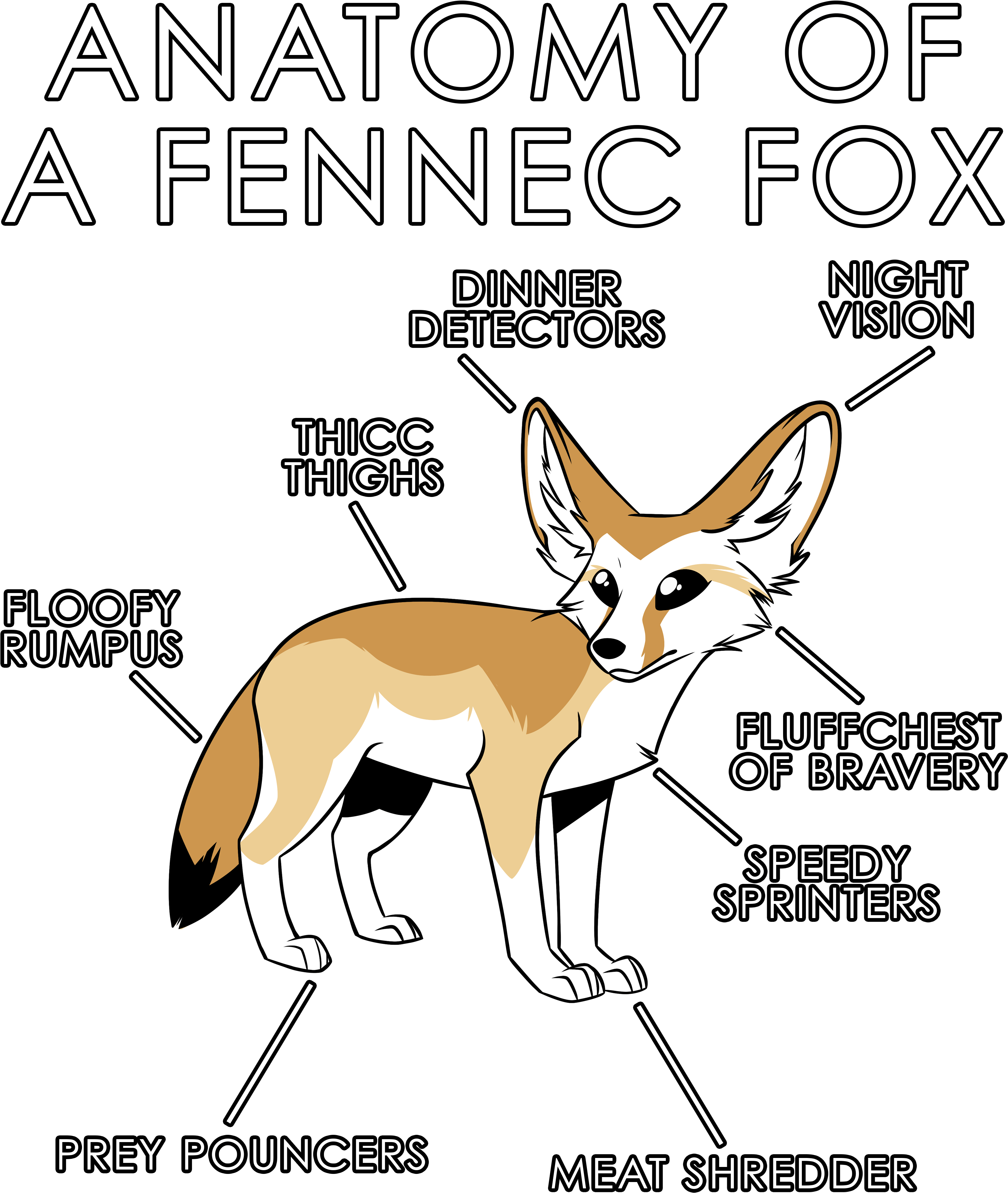 Anatomy Of A Fennec Fox (3630x4950), Png Download