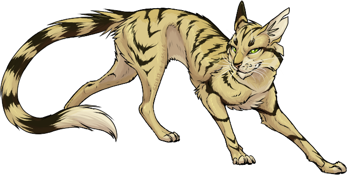 Longtail By Spirit Of Alaska On Deviantart - Longtail Warrior Cats (680x344), Png Download